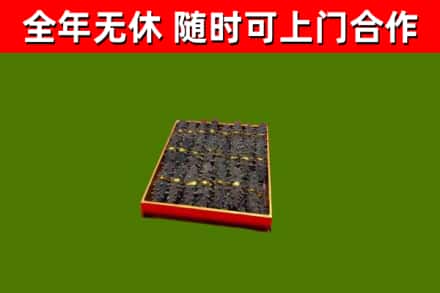 山阳回收海参